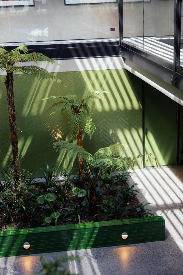 Ebb-ダニーデン エクステリア 写真 The interior of the conservatory